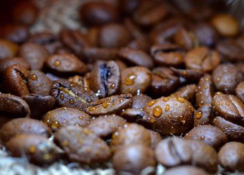 Coffee beans - Kostenloses image #201081